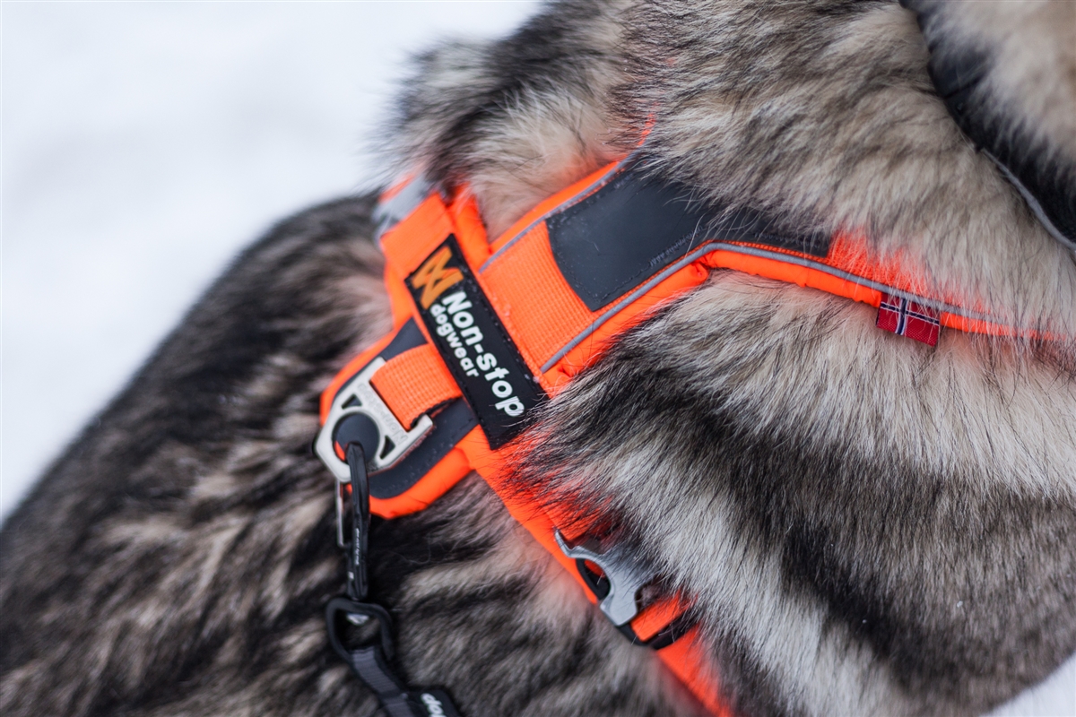 LINE HARNESS 5.0-9