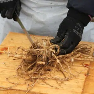 vainonputken-pilkkominen-300×300.jpg