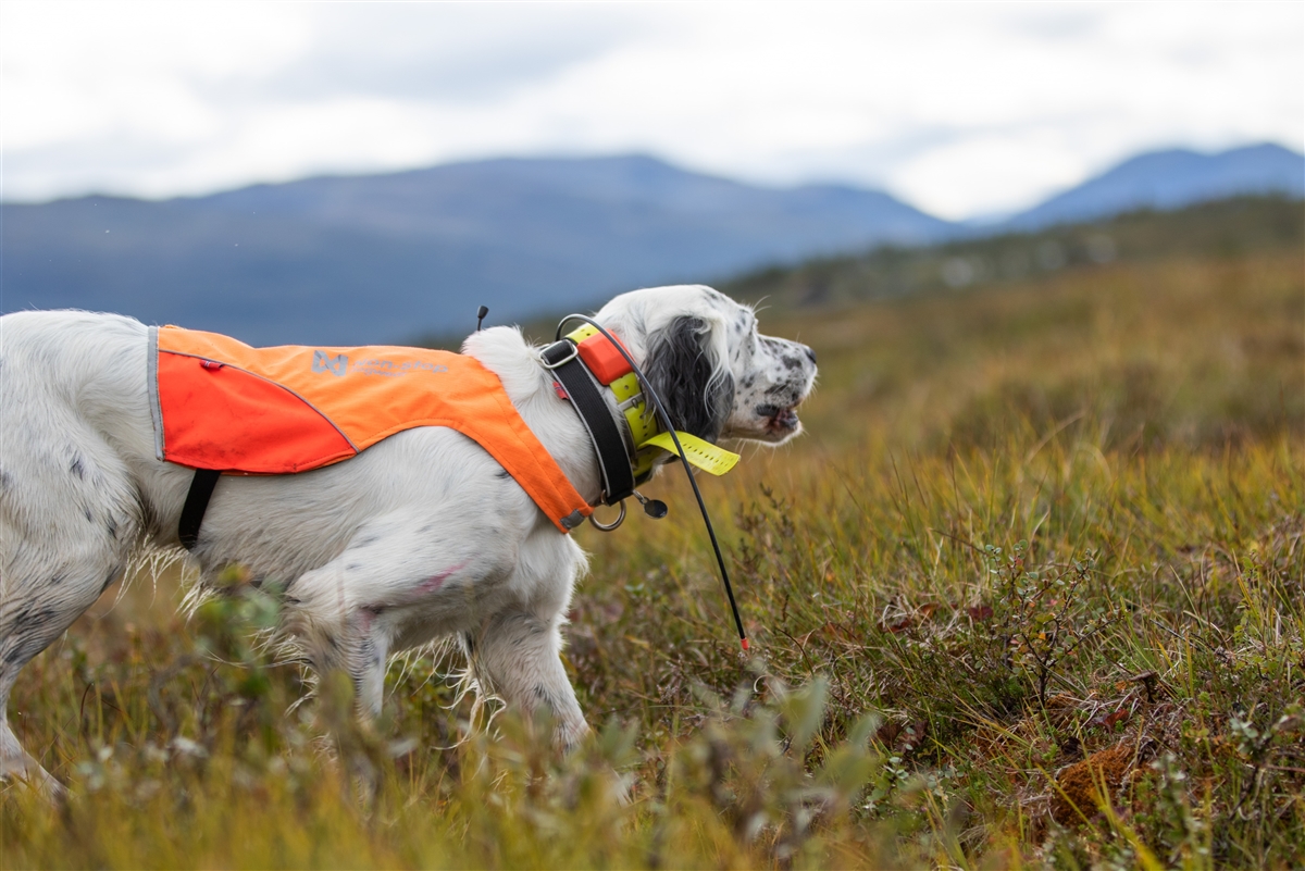 Non-stop dogwear Protector Cover-3