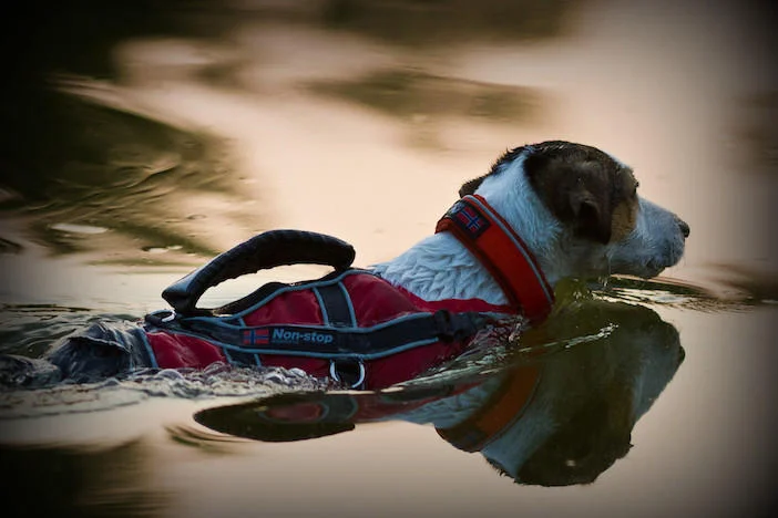 safe-life-jacket2