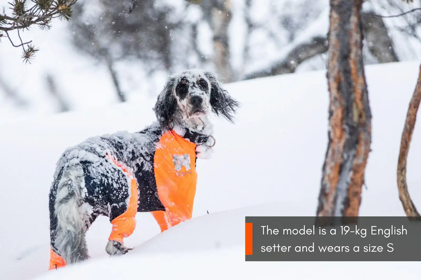 protector_snow_setting_4
