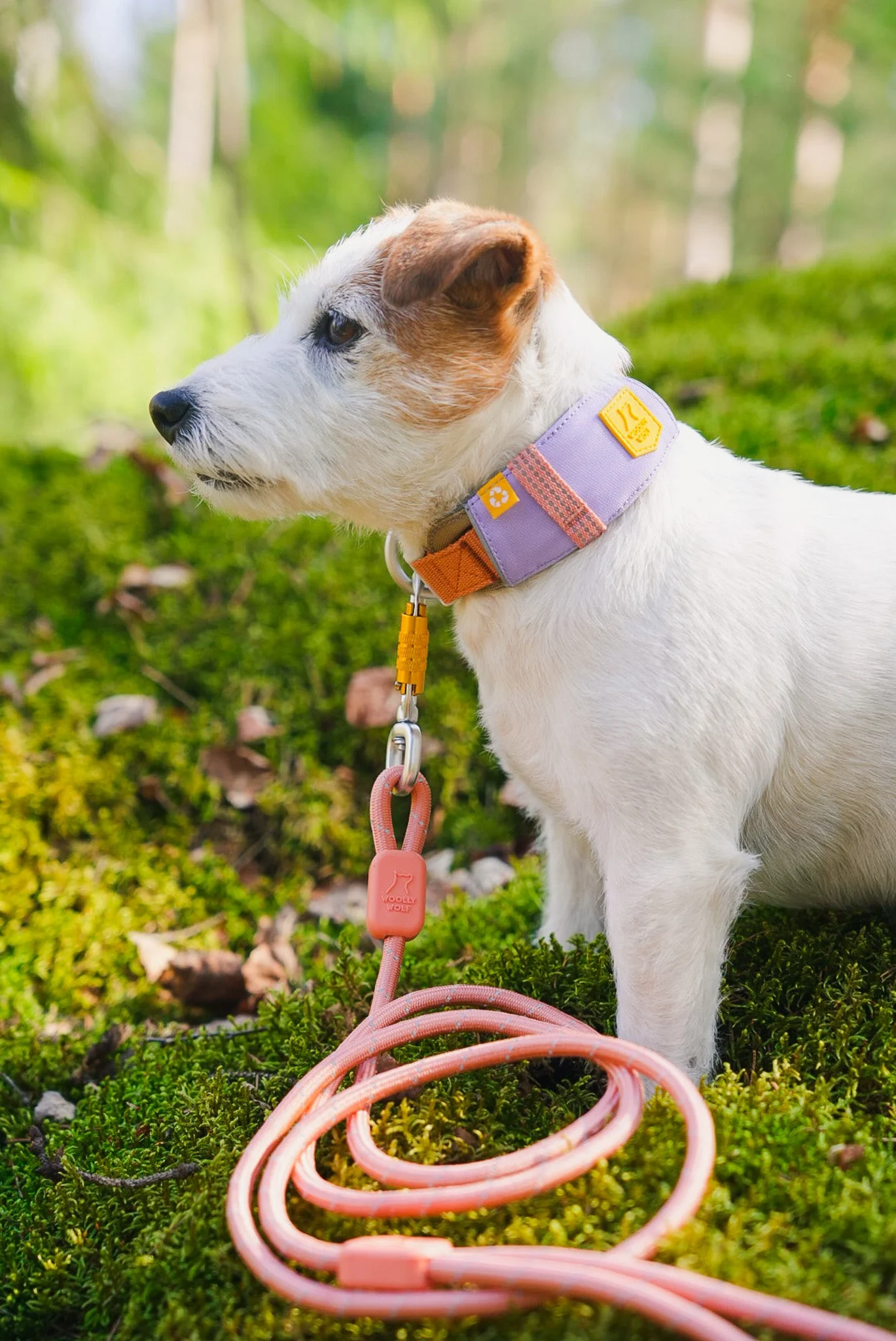alpha-360-collar-lavender-mix-s-411861