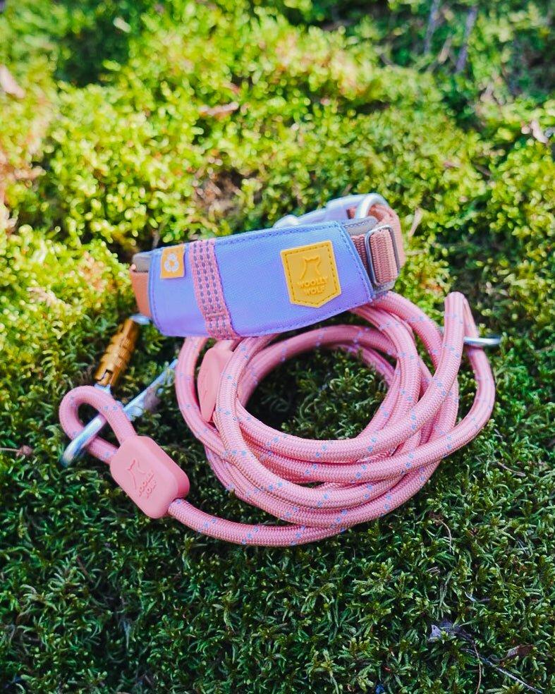 alpha-360-collar-lavender-mix-s-649689