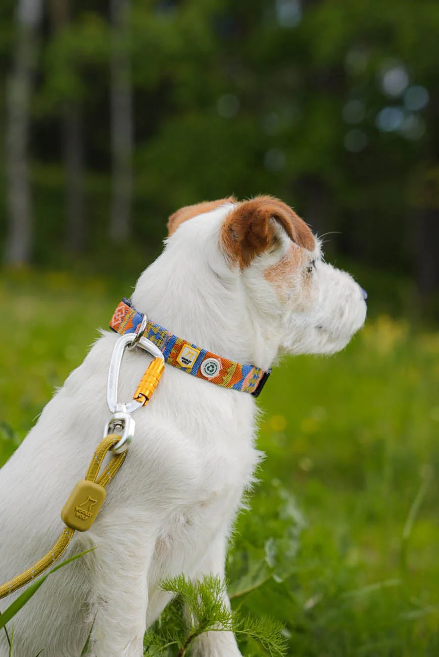 rope-leash-pistachio-8mm-169666